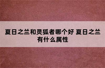 夏日之兰和灵狐者哪个好 夏日之兰有什么属性